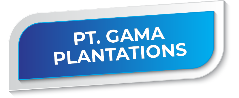 41_PT_GAMA_PLANTATIONS.png