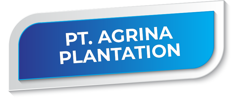 30_PT_AGRINA_PLANTATION.png